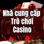 Nhà cung cấp phần mềm casino