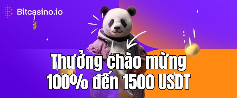 Tiền thưởng bitcasino 